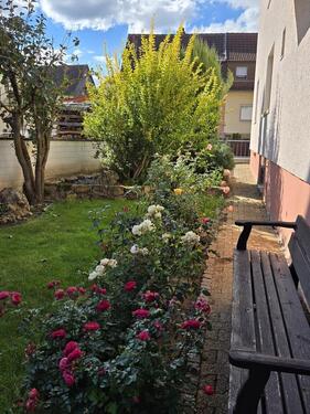 Foto - Mehrfamilienhaus, Wohnhaus in Eisenberg (Pfalz) zum Kaufen