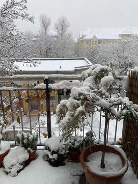 Foto - 3 Zimmer Etagenwohnung zur Miete in Leipzig