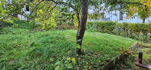 Foto - Einfamilienhaus in Kleinbundenbach zum Kaufen