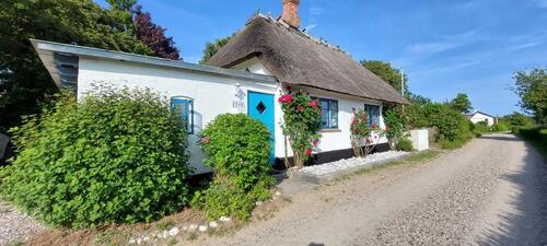 Foto - Ferienhaus dänische Ostsee 6 Pers. am Meer