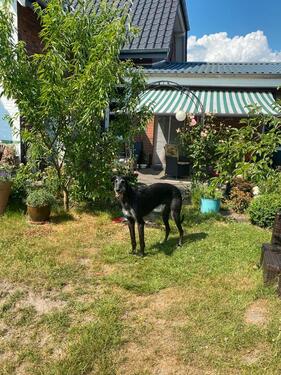 Foto - Anliegerwohnung mit WG Charakter in Bullenkuhlen