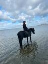 Foto - andere zur Miete in Gelting