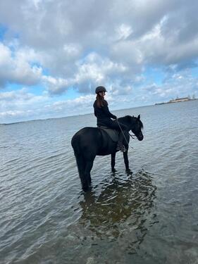 Foto - andere zur Miete in Gelting
