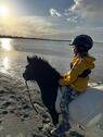 Foto - andere in Gelting zur Miete