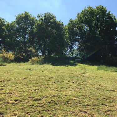 Foto - Grundst&uuml;ck in Bausendorf zur Miete