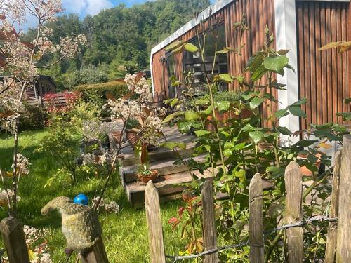Foto - Tiny HouseModulhaus - 39.900,00&nbsp;EUR Kaufpreis, ca.&nbsp; 23,00&nbsp;m&sup2;