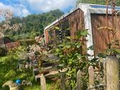 Foto - 1 Zimmer Einfamilienhaus zum Kaufen in Bochum