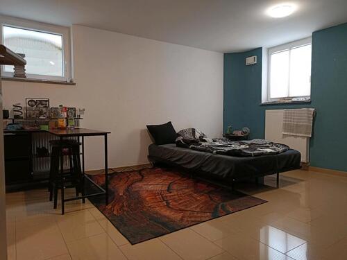 Foto - Wohnung 1 Zimmer, Küche, Bad - 250,00&nbsp;EUR Kaltmiete, ca.&nbsp; 20,00&nbsp;m&sup2;