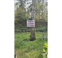 Bungalow auf Pachtgrundstück im Naherholunge. PretzienFelsensee - Staßfurt