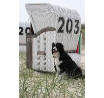 Ferienwohnung HooksielNordseeHund willkommenStrandkorb - Paderborn Neuenbeken
