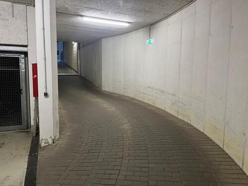 Foto - andere in Dresden