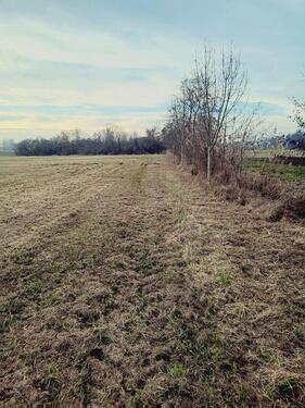 Foto - Grundst&uuml;ck zur Miete in Speyer