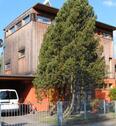 Foto - 6 Zimmer Einfamilienhaus zur Miete in Berlin