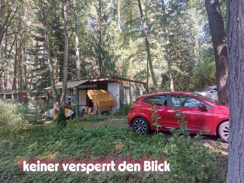 Foto - Einfamilienhaus zum Kaufen in Eisenhüttenstadt