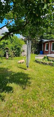 Foto - Einfamilienhaus in Blieskastel zum Kaufen