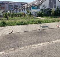 Sicherer Außenstellplatz im Hinterhof - Offenburg