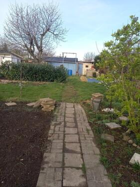 Foto - Grundst&uuml;ck zur Miete in Magdeburg