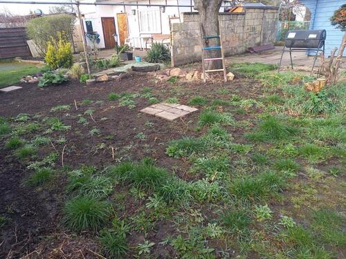 Foto - Grundst&uuml;ck in Magdeburg zur Miete