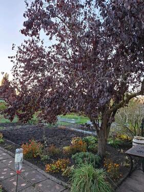 Foto - Grundst&uuml;ck in Rostock