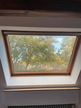 Foto - 2 Zimmer Dachgeschoßwohnung in Essen