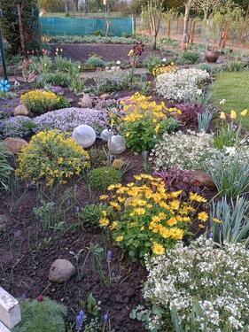 Foto - Grundst&uuml;ck in Aschersleben