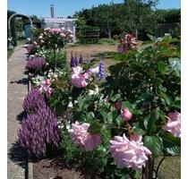 Schrebergarten - 3.000,00&nbsp;EUR Kaltmiete, ca.&nbsp; 0,00&nbsp;m&sup2; in Wolfsburg (PLZ: 38448) Alt-Wolfsburg