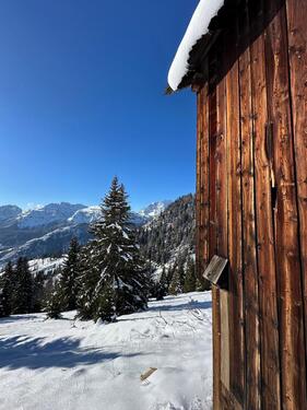 Foto - Berghütte zu verkaufen in den Belluneser DOLOMITEN