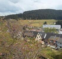3-Zimmer-Wohnung in Furtwangen - 720,00&nbsp;EUR Kaltmiete, ca.&nbsp; 84,00&nbsp;m&sup2; in Furtwangen im Schwarzwald (PLZ: 78120)