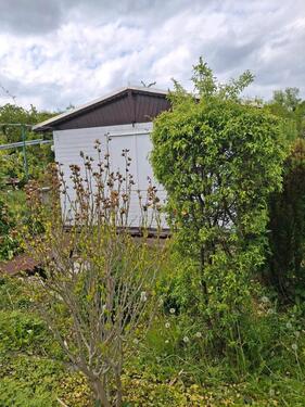 Foto - Pachtgarten - 3.900,00&nbsp;EUR Kaltmiete, ca.&nbsp; 0,00&nbsp;m&sup2;