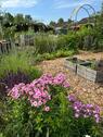 Foto - Schrebergarten abzugeben KGV Sonniges Land