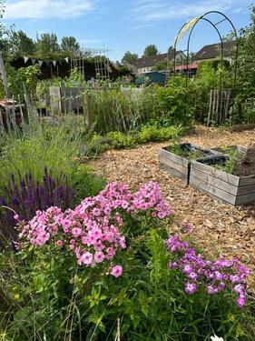 Foto - Schrebergarten abzugeben KGV Sonniges Land