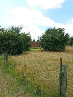 Foto - Grundst&uuml;ck in Leese zur Miete