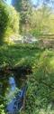Foto - Verpachte naturnahen Garten in Dresden-Coschütz