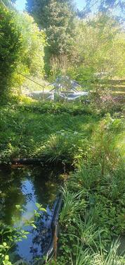 Foto - Verpachte naturnahen Garten in Dresden-Coschütz