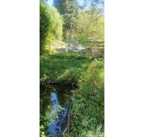 Verpachte naturnahen Garten in Dresden-Coschütz