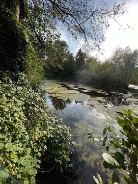 Foto - 2er Angelteich in 38176 Meerdorf