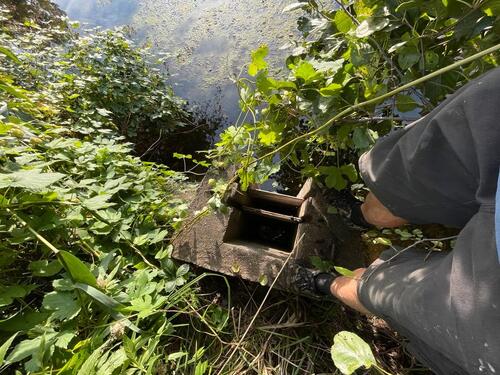 Foto - Grundstück zur Miete in Peine