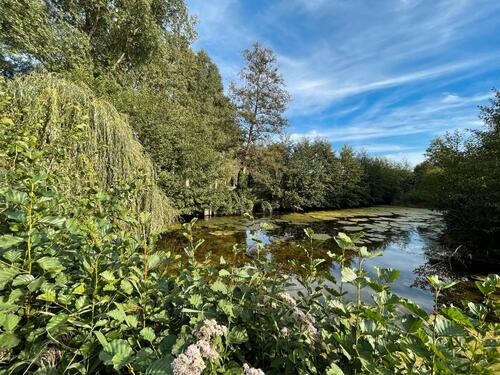 Foto - Grundstück in Peine