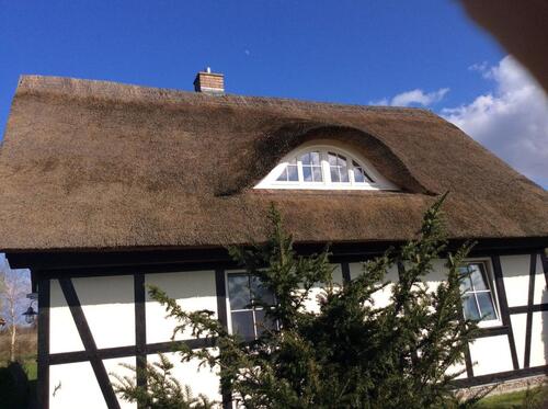 Foto - 3 Zimmer Einfamilienhaus zum Kaufen in Liepgarten