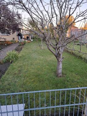 Foto - Grundst&uuml;ck in Rostock zur Miete