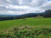 Foto - 8 Zimmer Einfamilienhaus zum Kaufen in Mehlbach