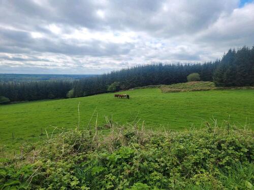 Foto - 8 Zimmer Einfamilienhaus zum Kaufen in Mehlbach