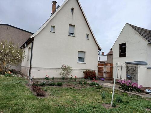 Foto - Einfamilienhaus zum Kaufen in Beilrode