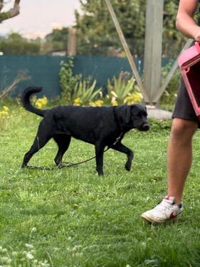 Foto - Grundstück in Stuttgart
