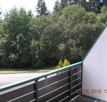 TOLLE BEQUEME VOLLMOBLIERTE 2 ZI. WHG - Freudenstadt