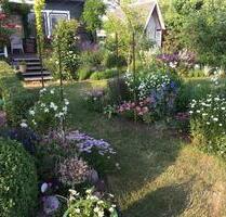 Top Kleingarten in Rövershagen Laube + Ausstattung + Obstbäume - Bentwisch