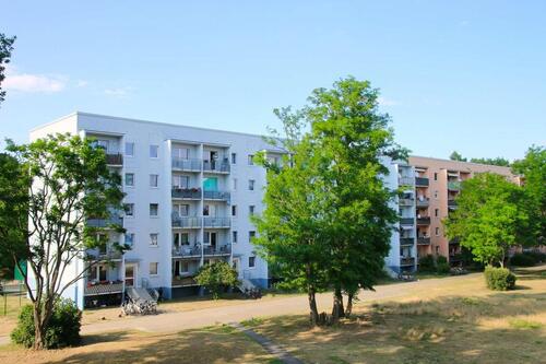 Foto - Waldesruh - schöne Wohnung im Grünen