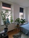 Foto - 2 Zimmer Etagenwohnung zur Miete in Leipzig