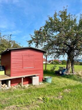 Foto - Grundstück in Walddorfhäslach
