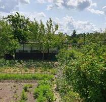 Kleingarten Gosewinkel - 5.000,00&nbsp;EUR Kaltmiete, ca.&nbsp; 0,00&nbsp;m&sup2; in Schwerin (PLZ: 19061) Gartenstadt